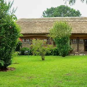 Maison d'hôtes Gorilla African