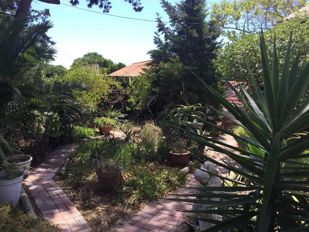 Guest house The Buddha Garden Cape Town